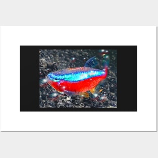 Neon Tetra Posters and Art